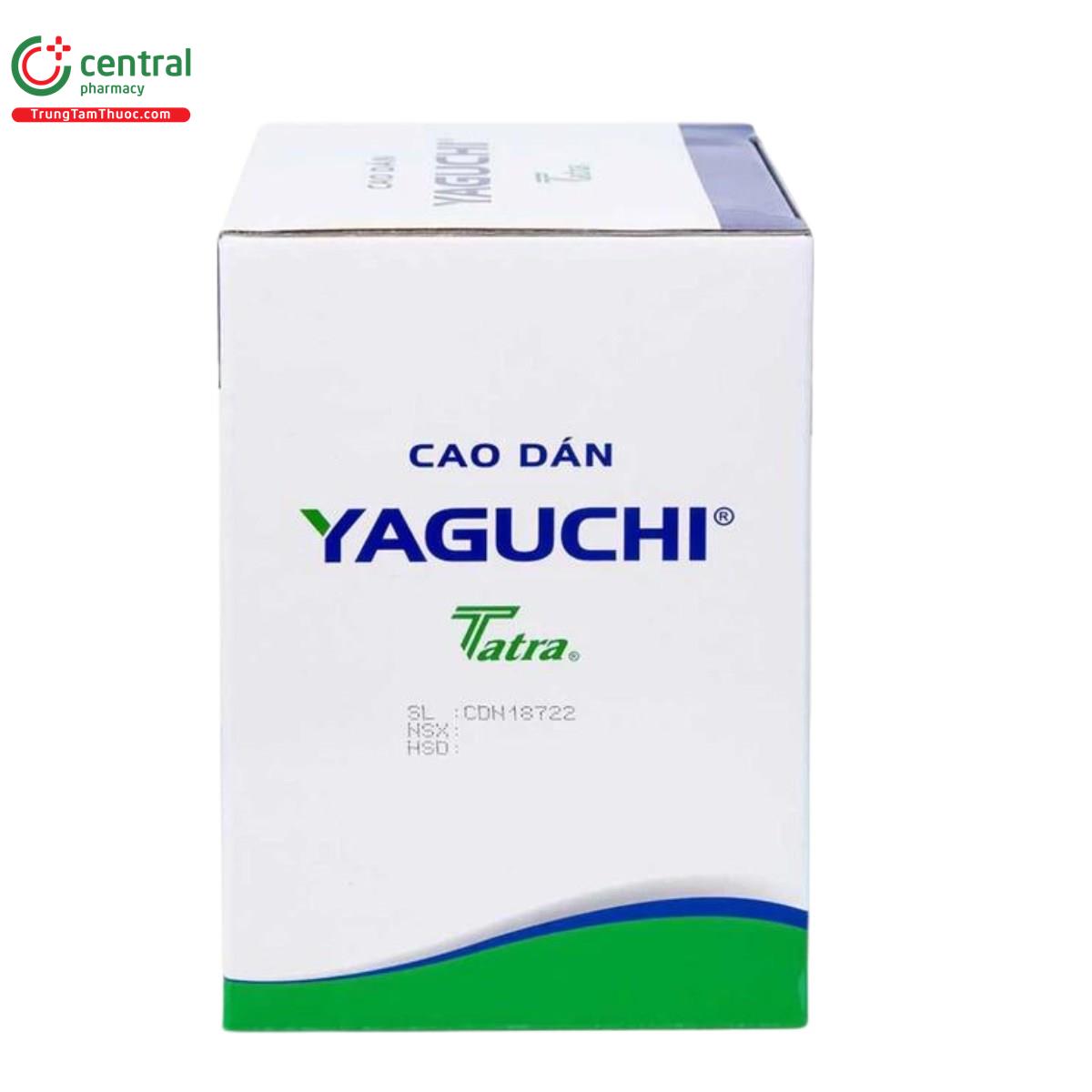 cao dan yaguchi 4 T7418