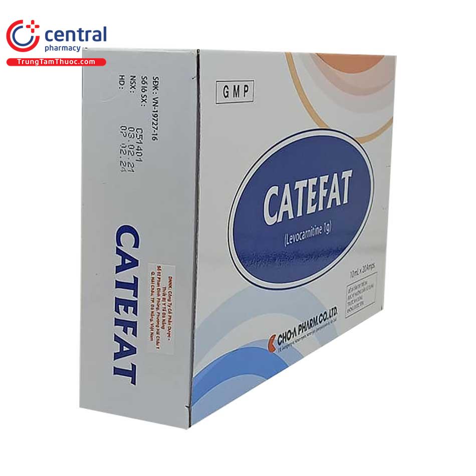 catefat 1 M5081