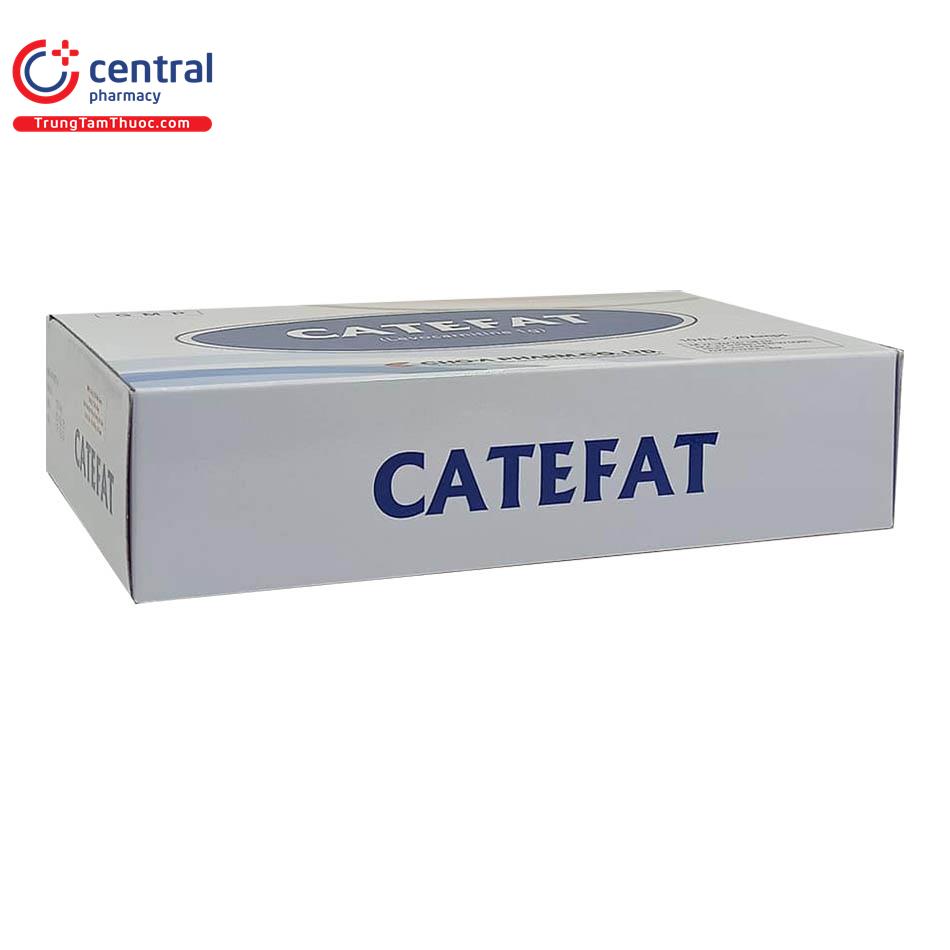 catefat 2 Q6414