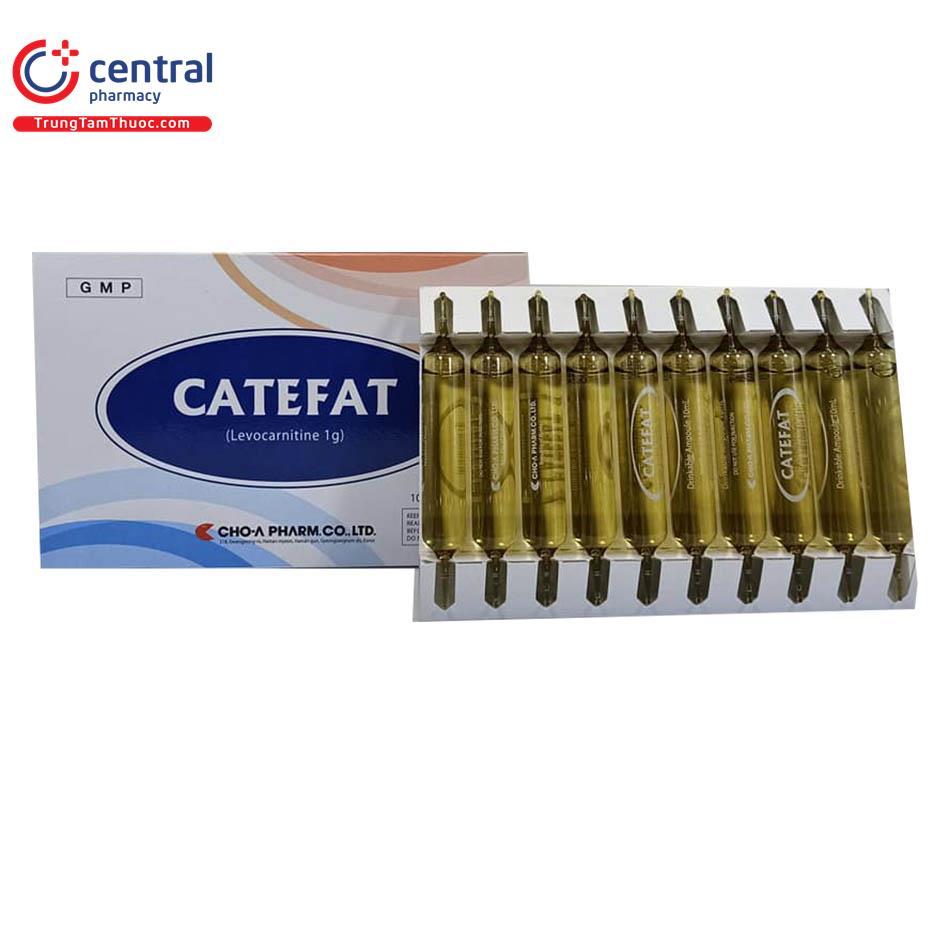 catefat 4 I3030