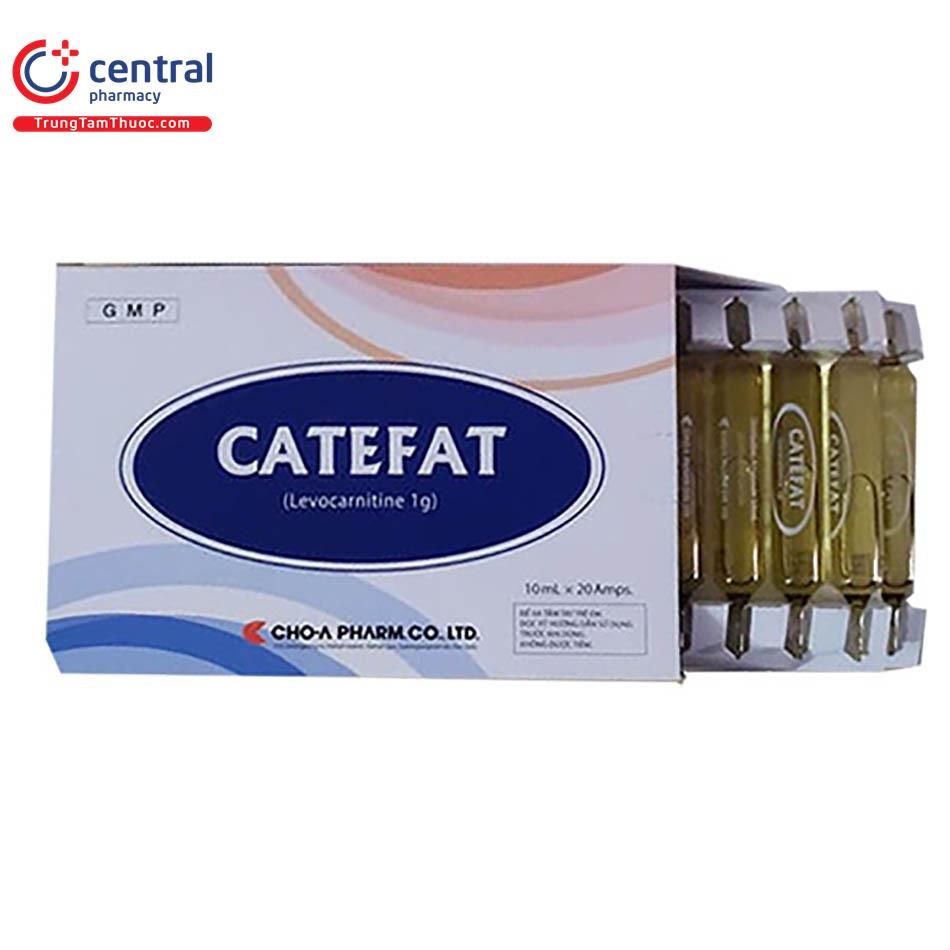 catefat 6 O6583