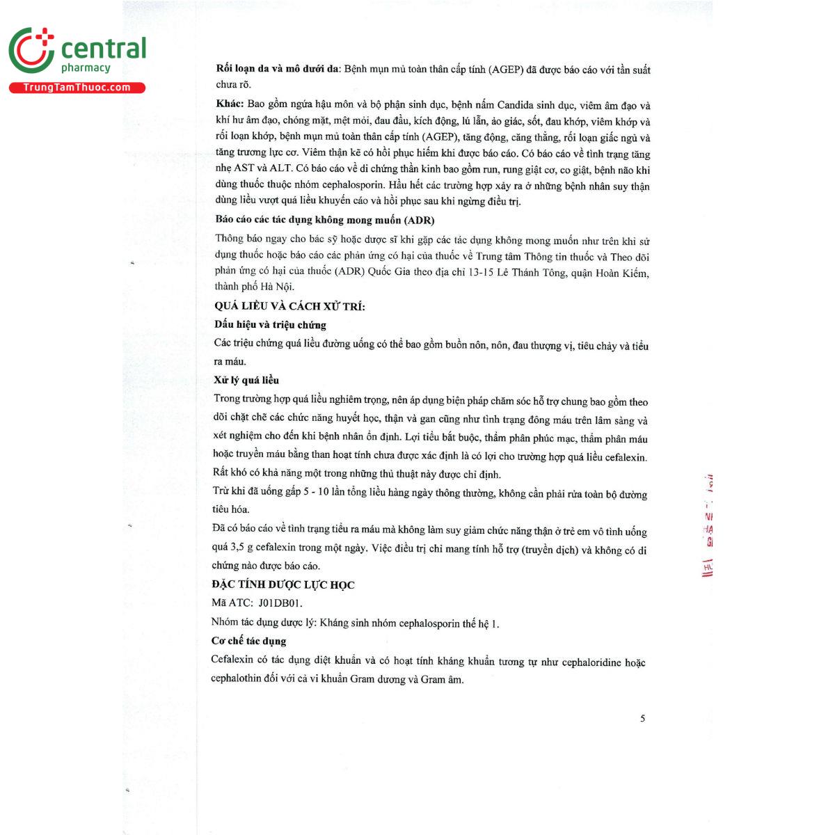 cefalexin 500mg kingphar 8 F2423