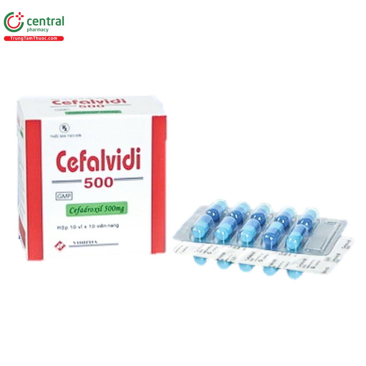 cefalvidi 500 1 Q6676 cefalvidi 500 1 Q6676
