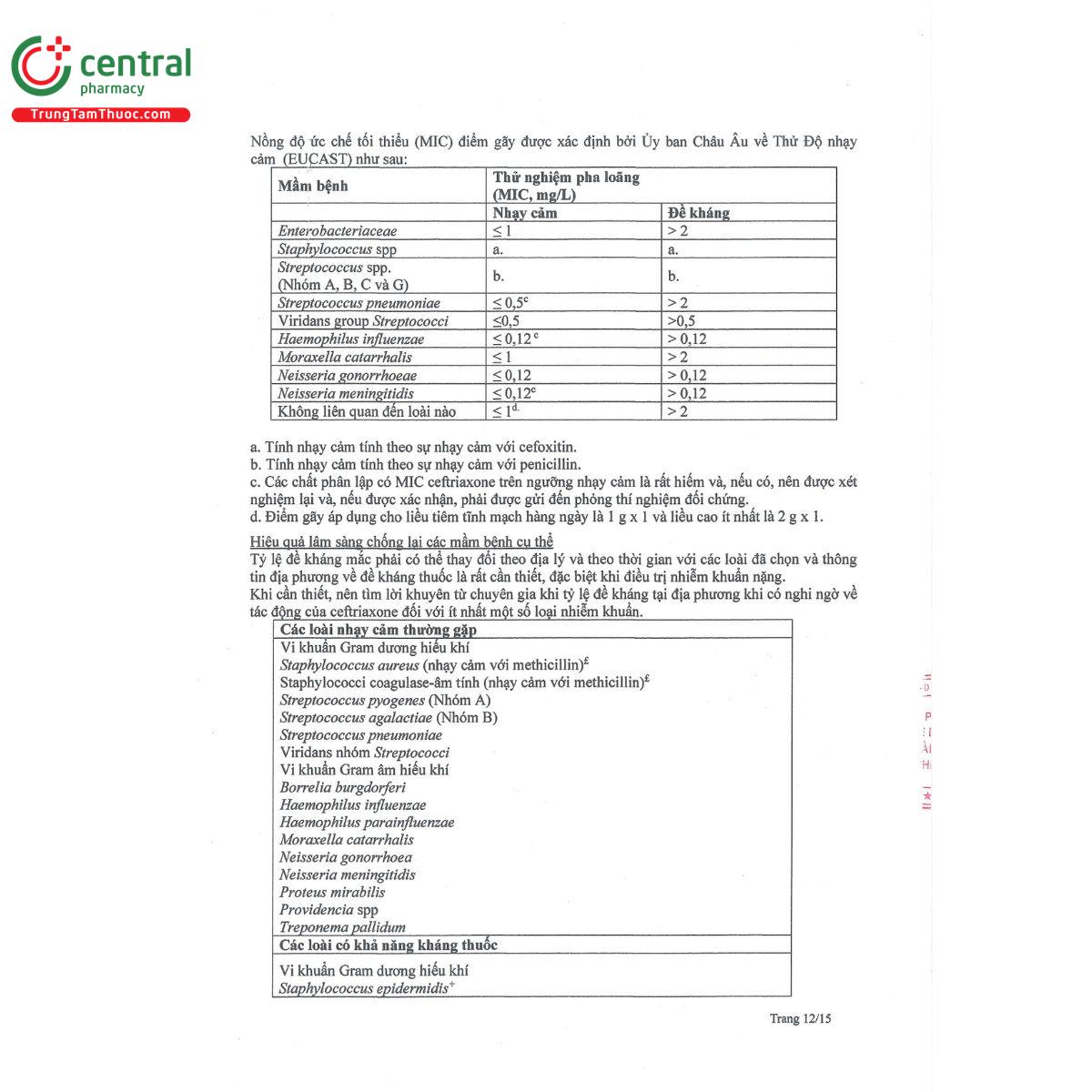 cefblox 500mg 14 B0574