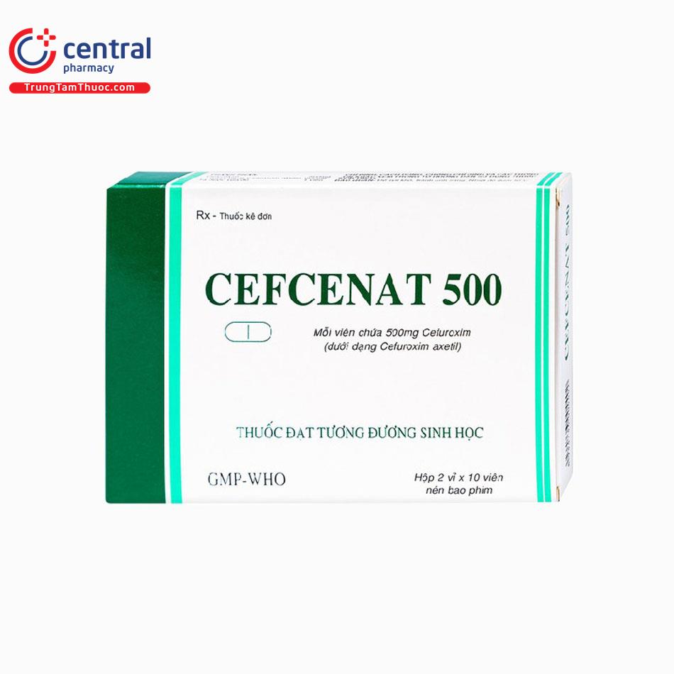 cefcenat 500 4 F2406