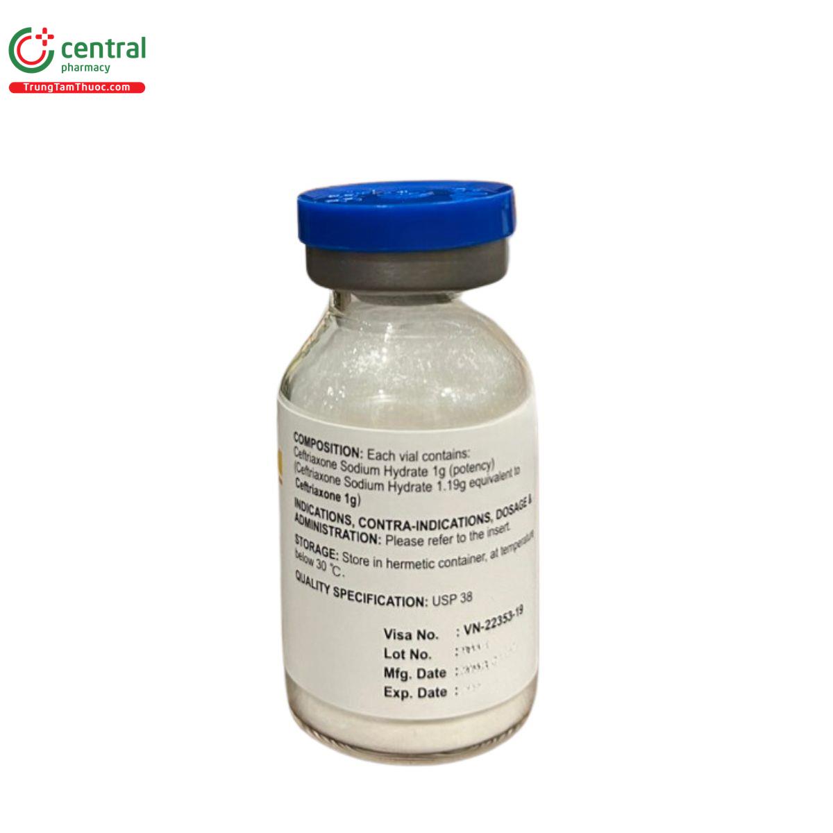 cefizone 1g inj 13 P6334