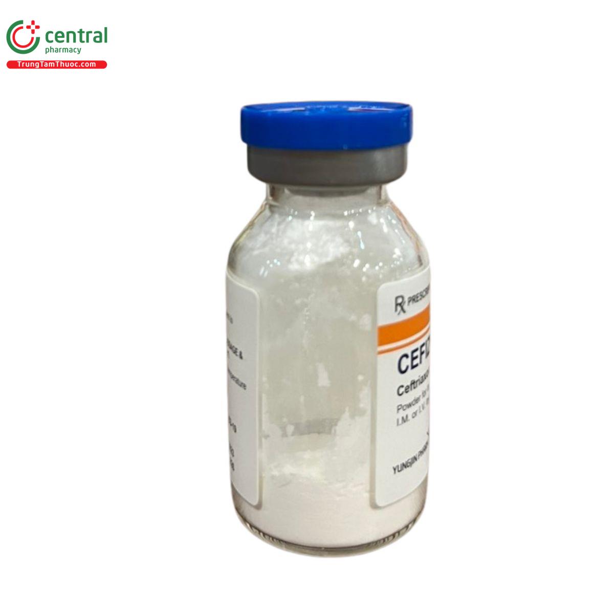 cefizone 1g inj 15 T7004