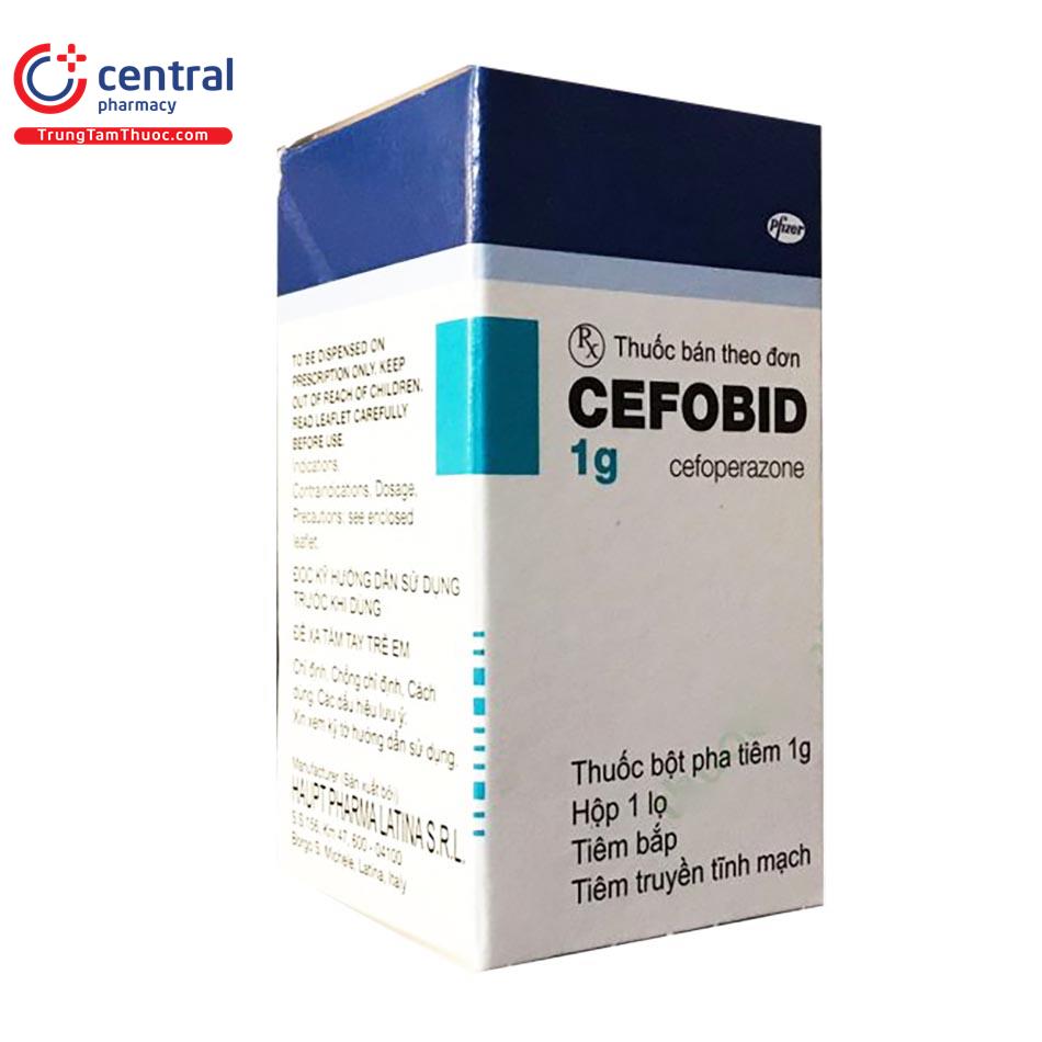 cefobid 1g 1 D1646