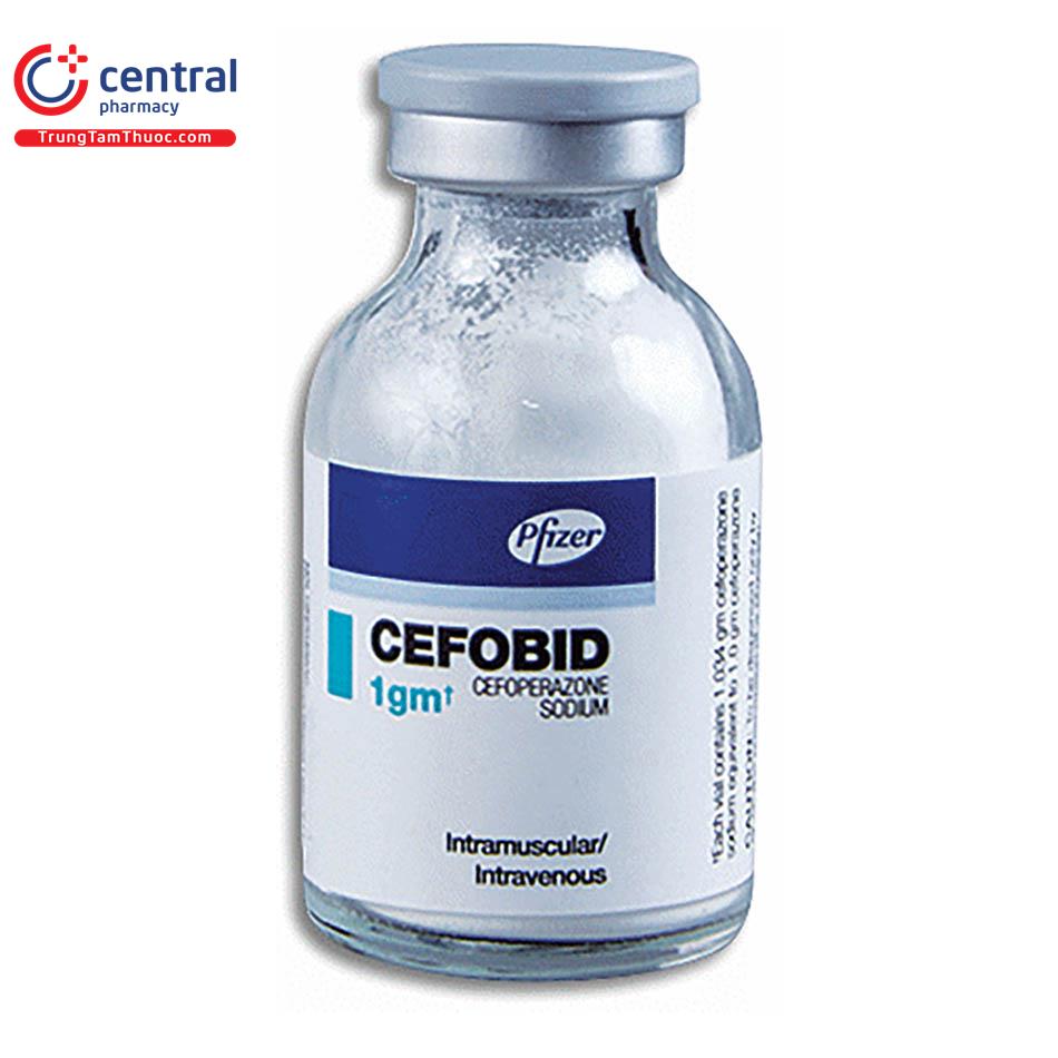 cefobid 1g 3 G2800