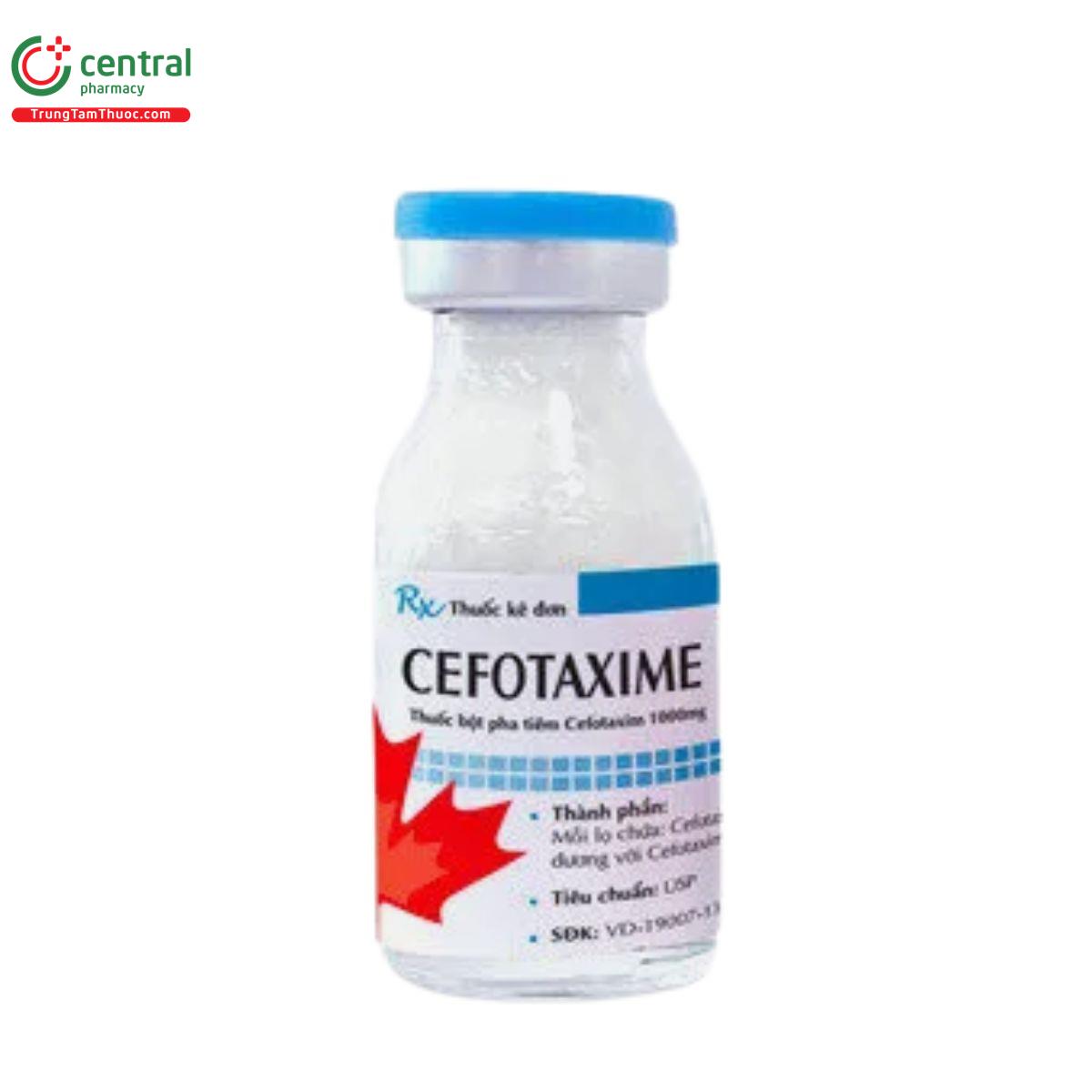 cefotaxime 1000 6 B0485