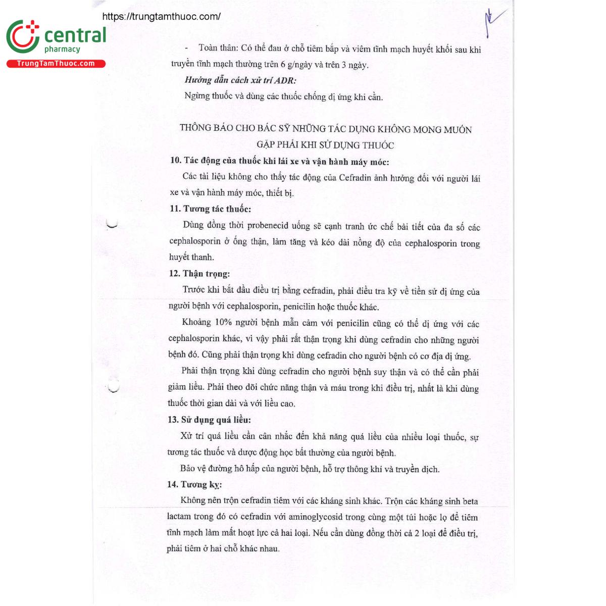 cefradin 1g 8 D1181