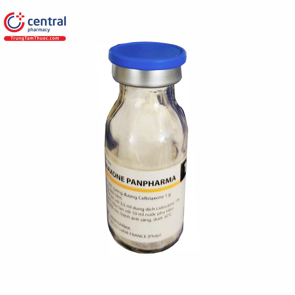 ceftriaxone panpharma 1g 9 N5865