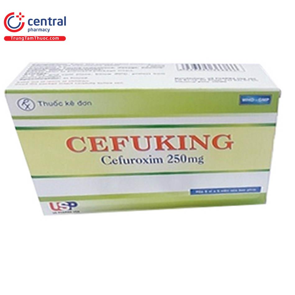 cefuking 250mg 2 Q6414