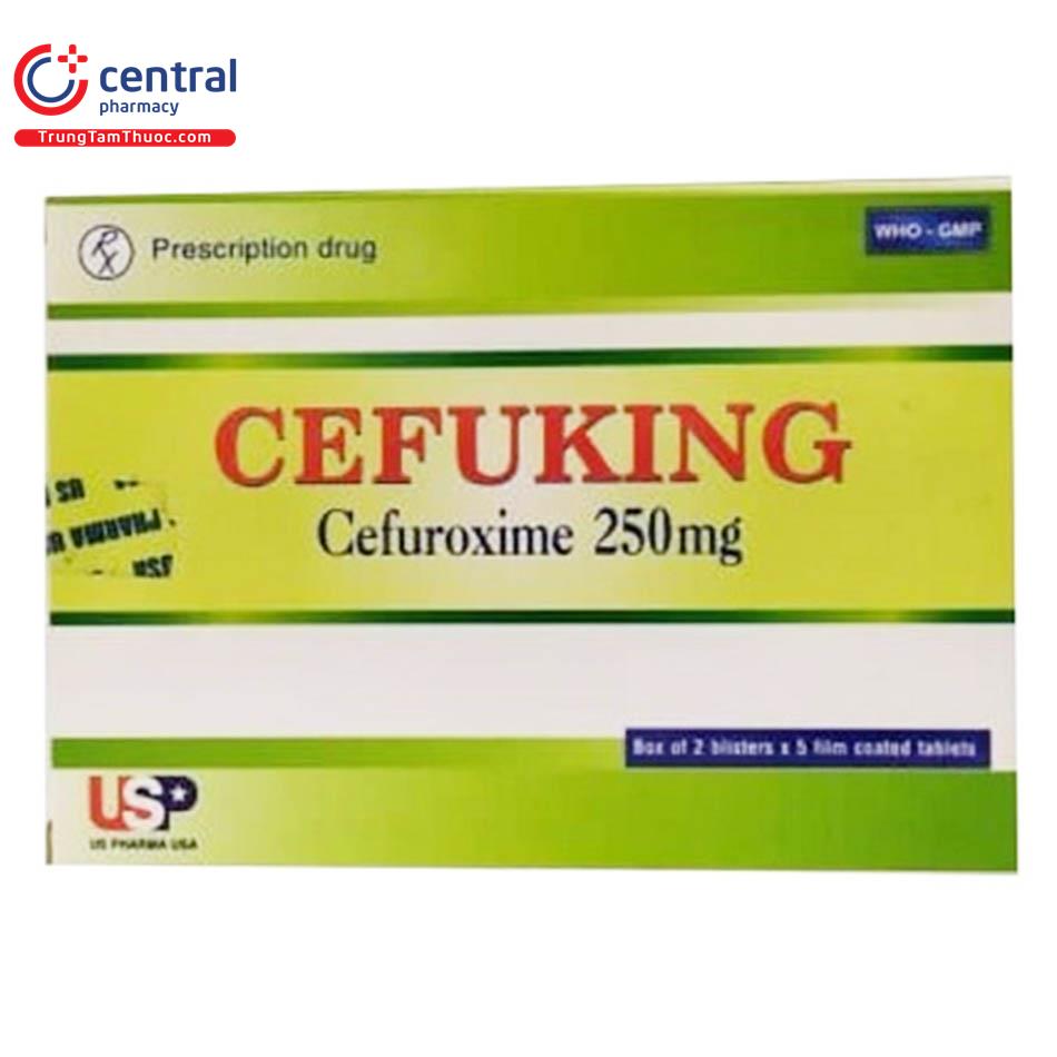 cefuking 250mg 3 V8317