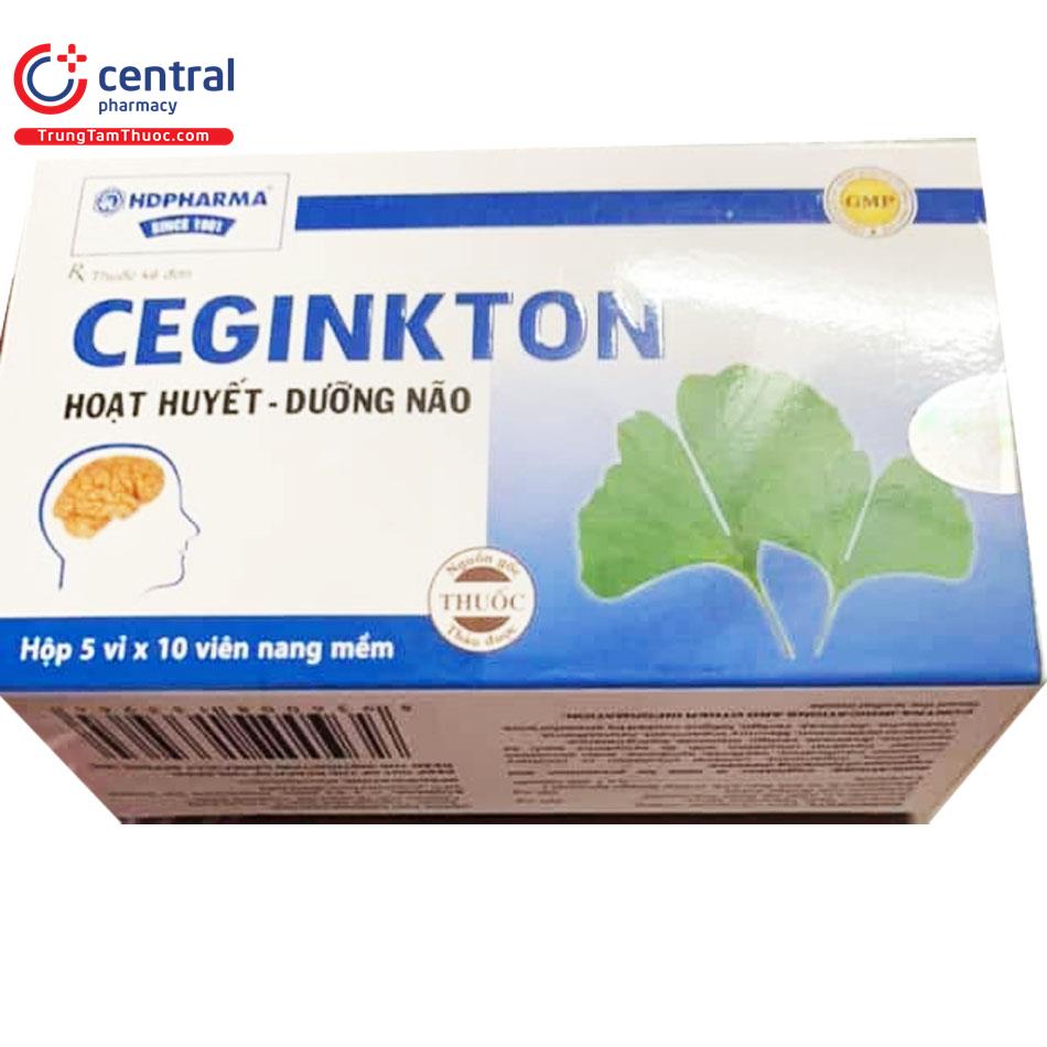 ceginkton 1 T7787
