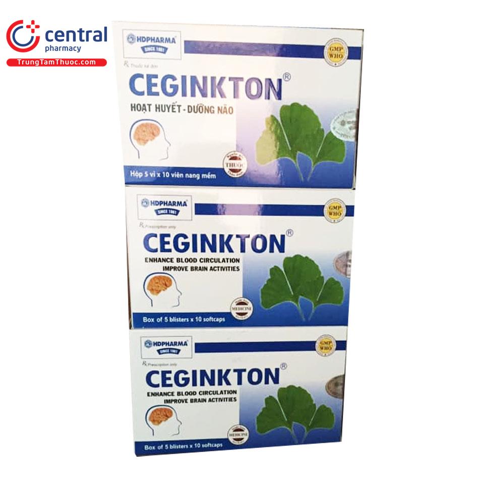 ceginkton 5 L4642