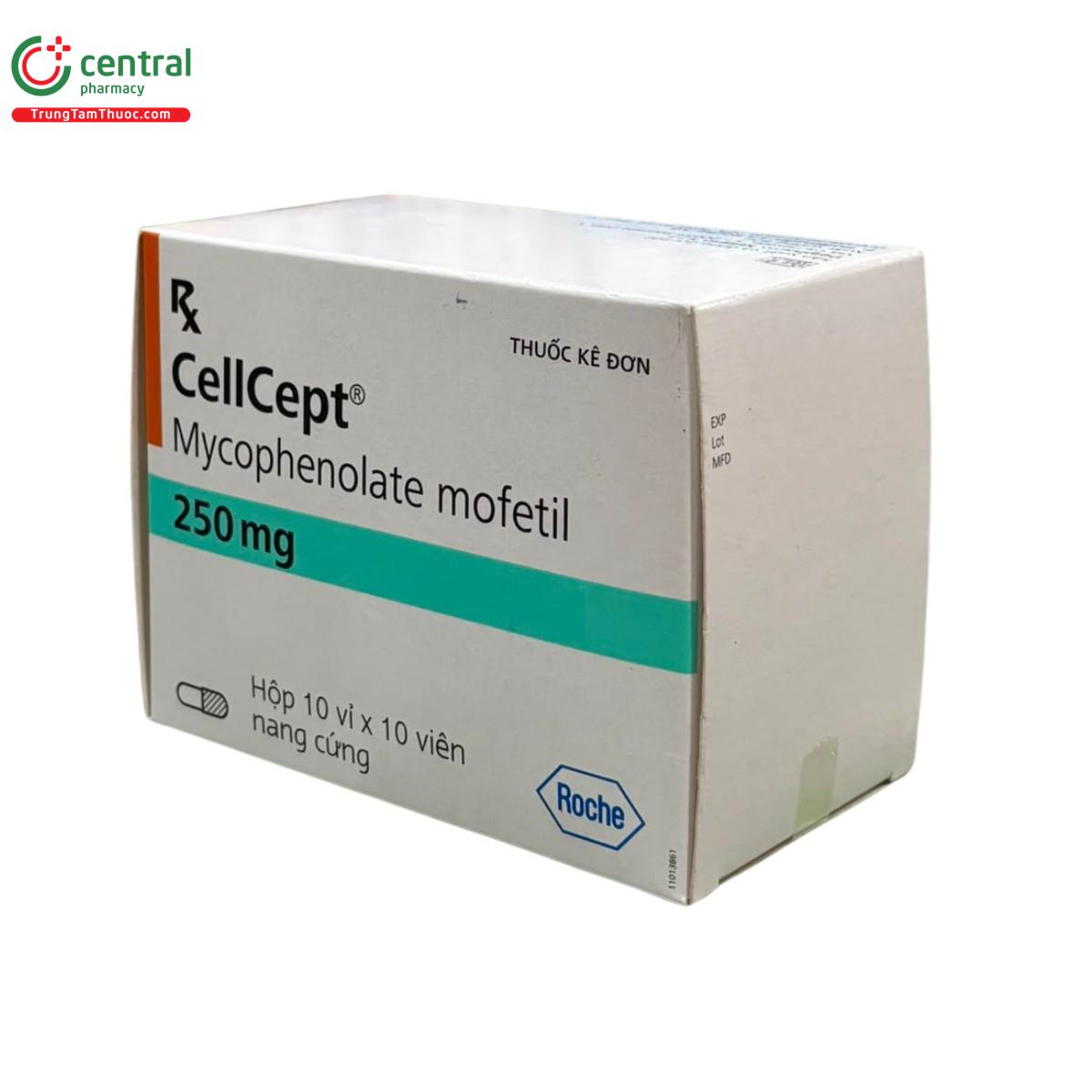 cellcept 250 4 G2550