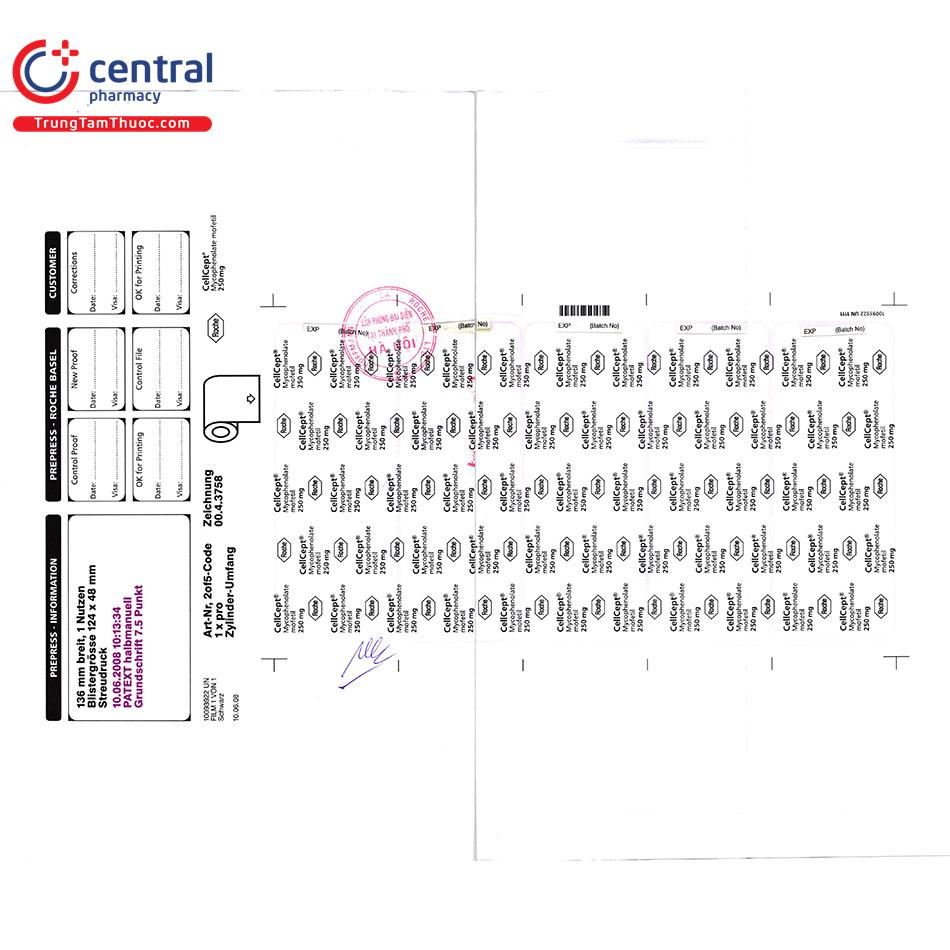 cellcept 250mg 12 H3018