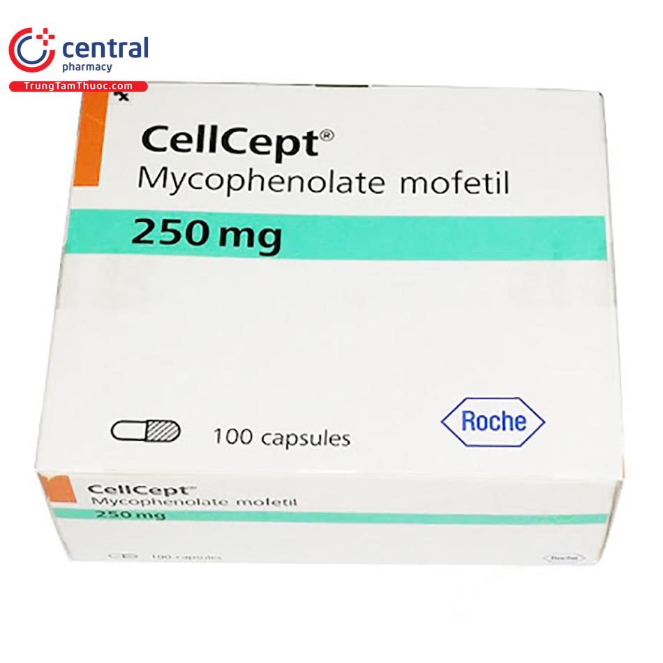 cellcept 250mg 3 H3351