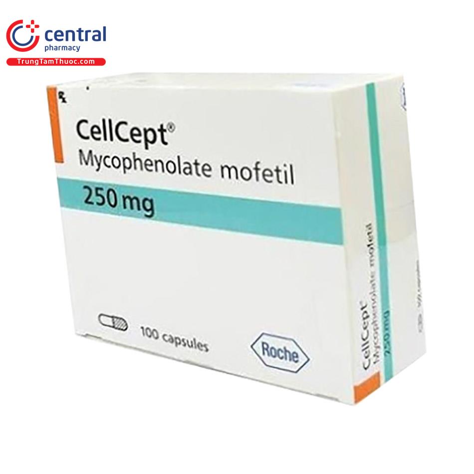 cellcept 250mg 6 K4513