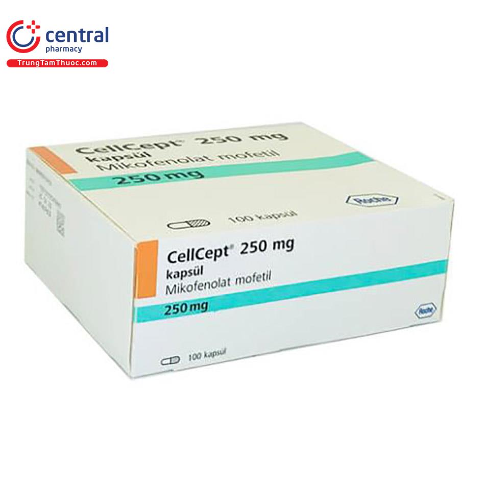 cellcept 250mg 9 H3546