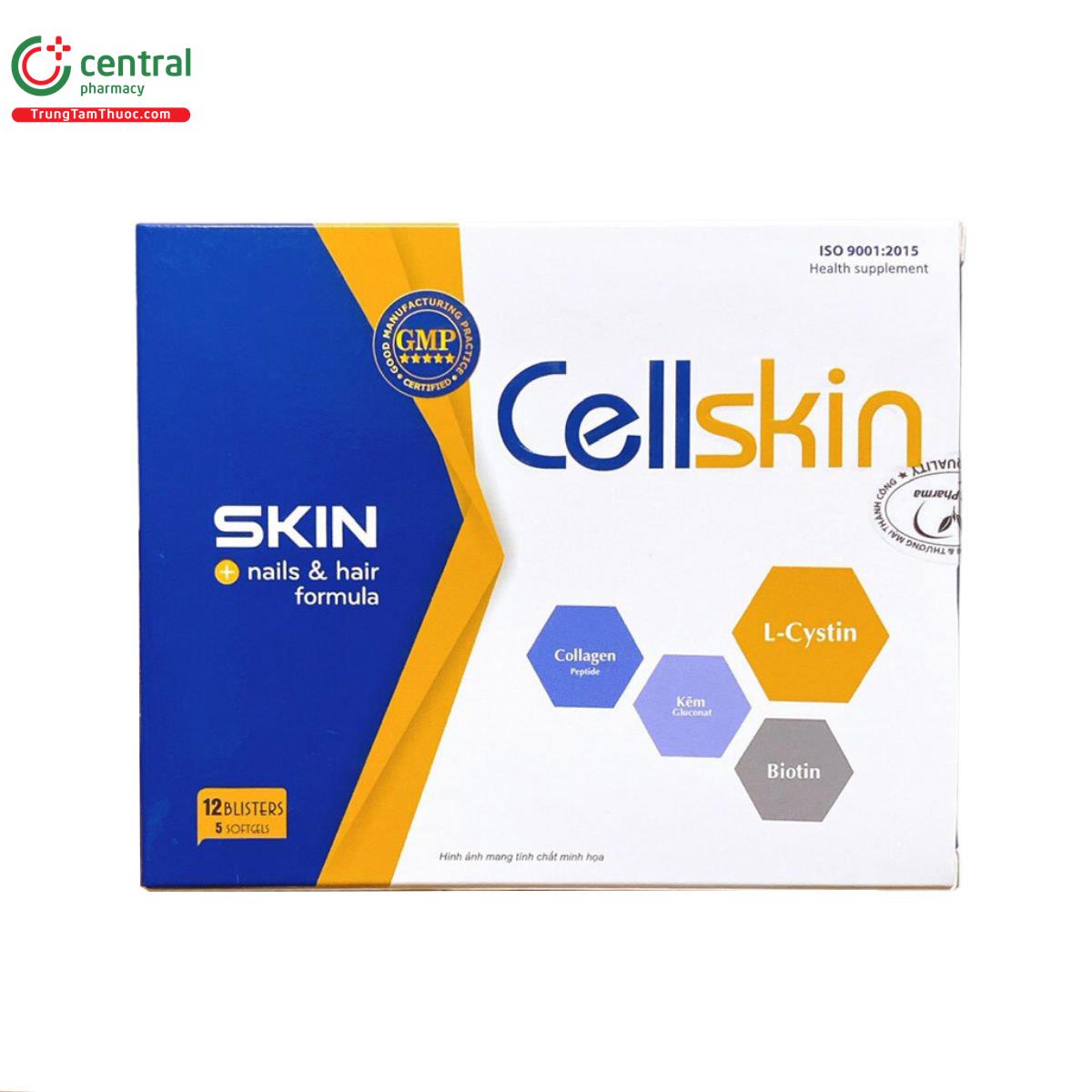 cellskin 3 H2100