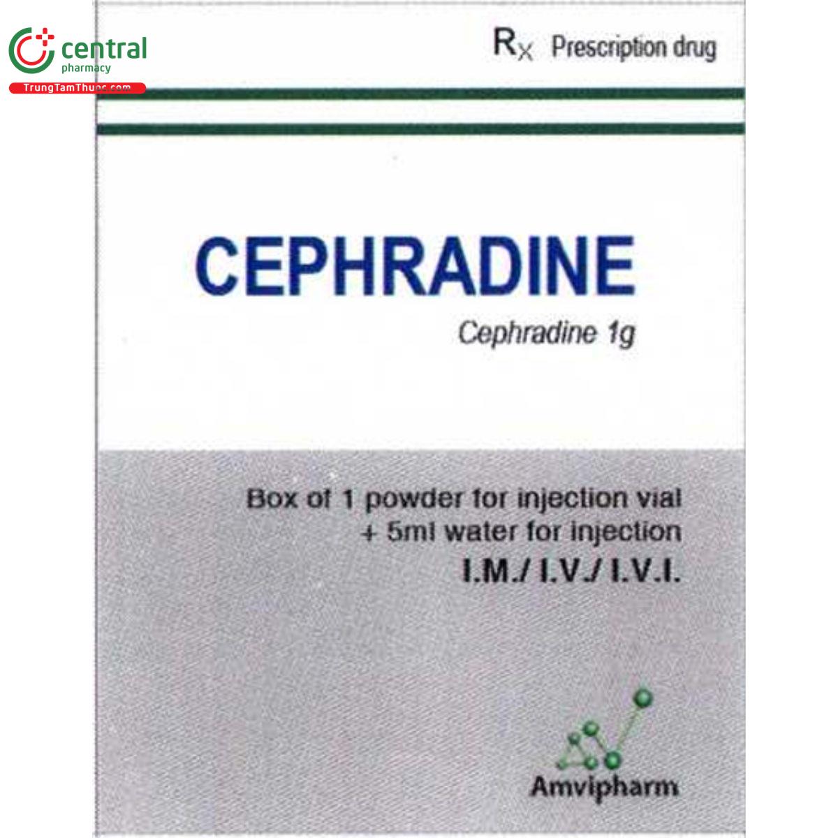cephradine 6 M5608 cephradine 6 M5608