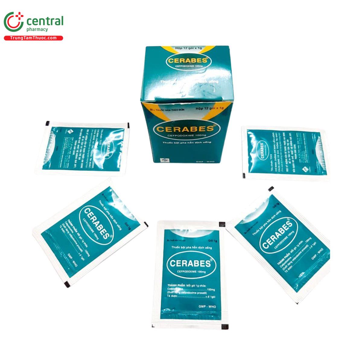 cerabes 2 Q6813 cerabes 2 Q6813
