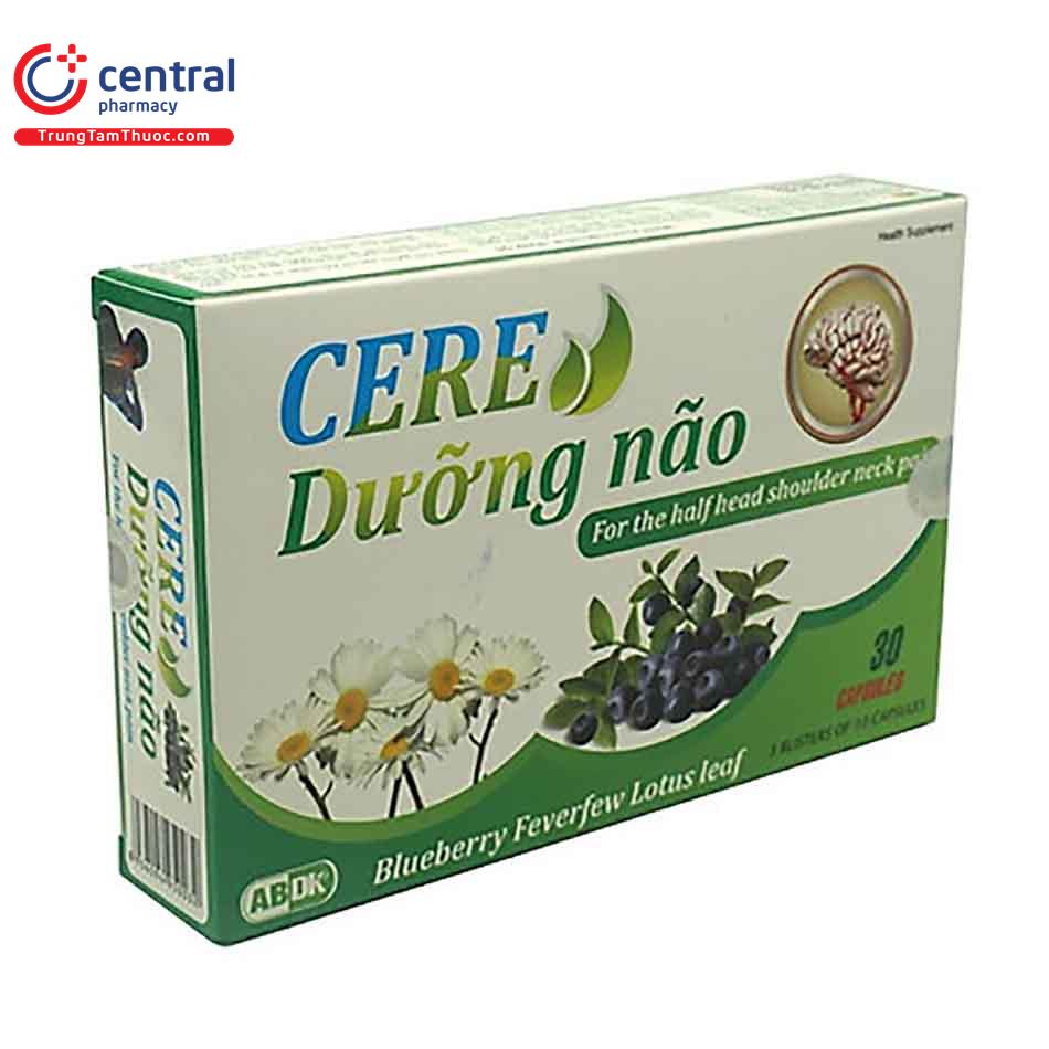 cere duong nao 2 E1460