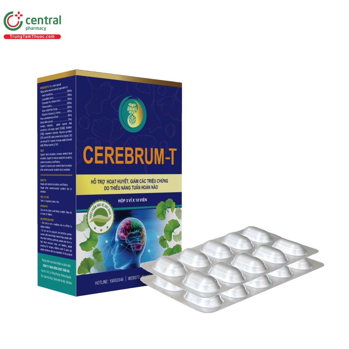 cerebrum t 1 V8087