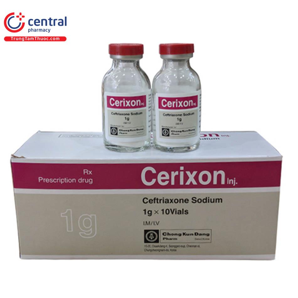 cerixon ttt1 N5161
