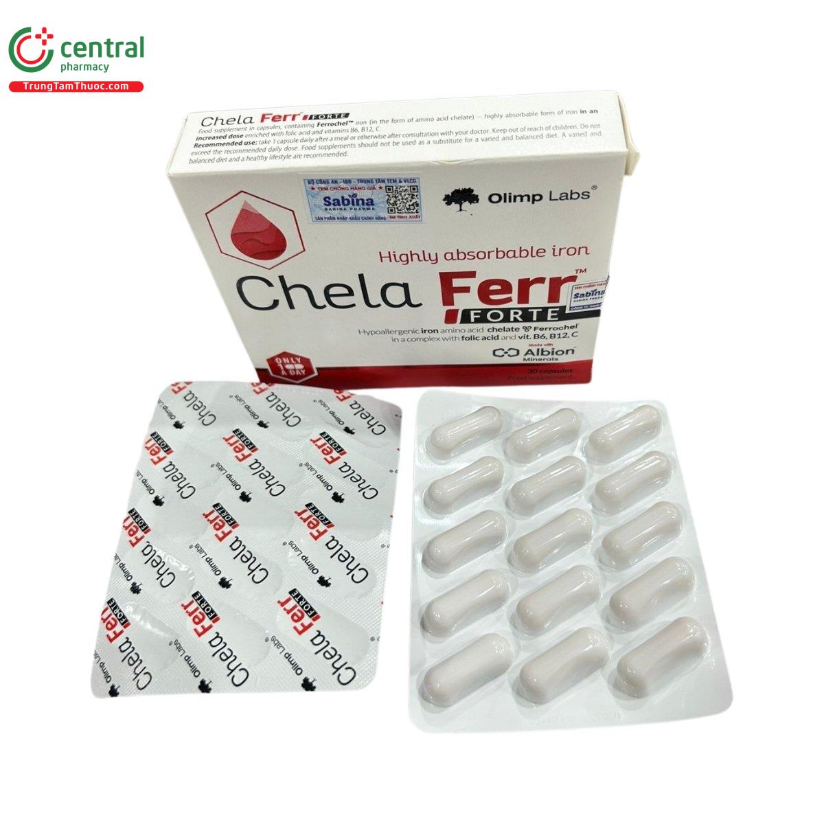 chela ferr forte 2 E1003
