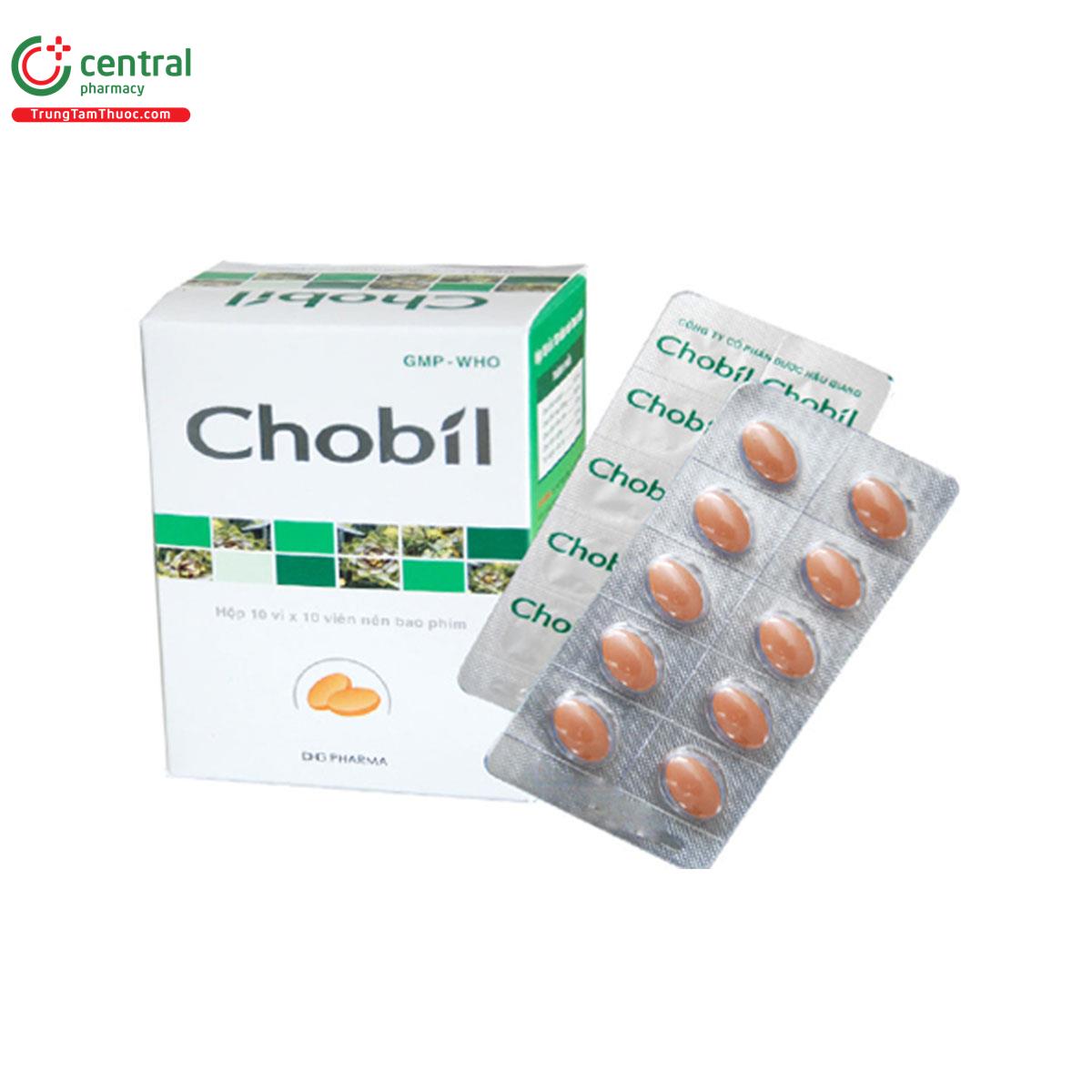 chobil vi 1 J3383