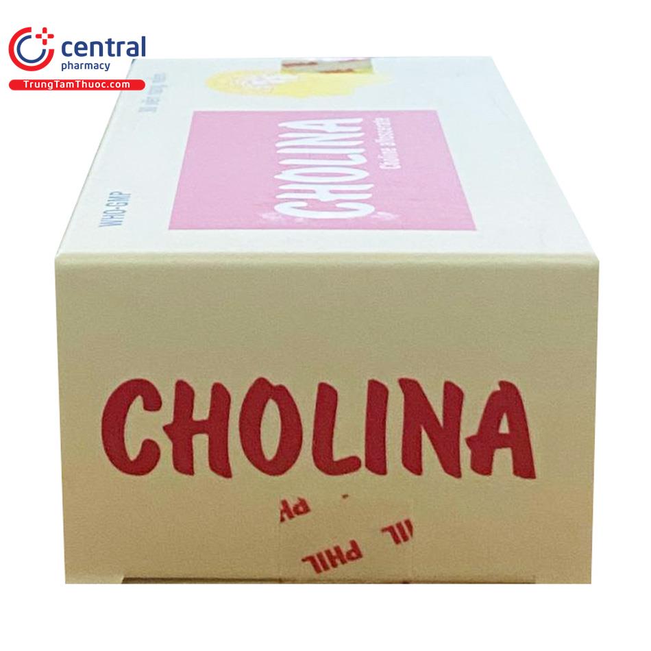 cholina 5 E2046
