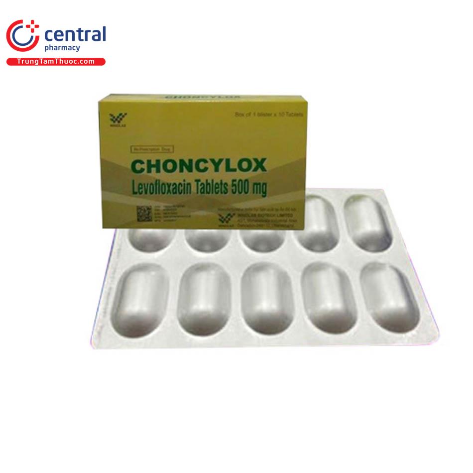 choncylox11 P6725