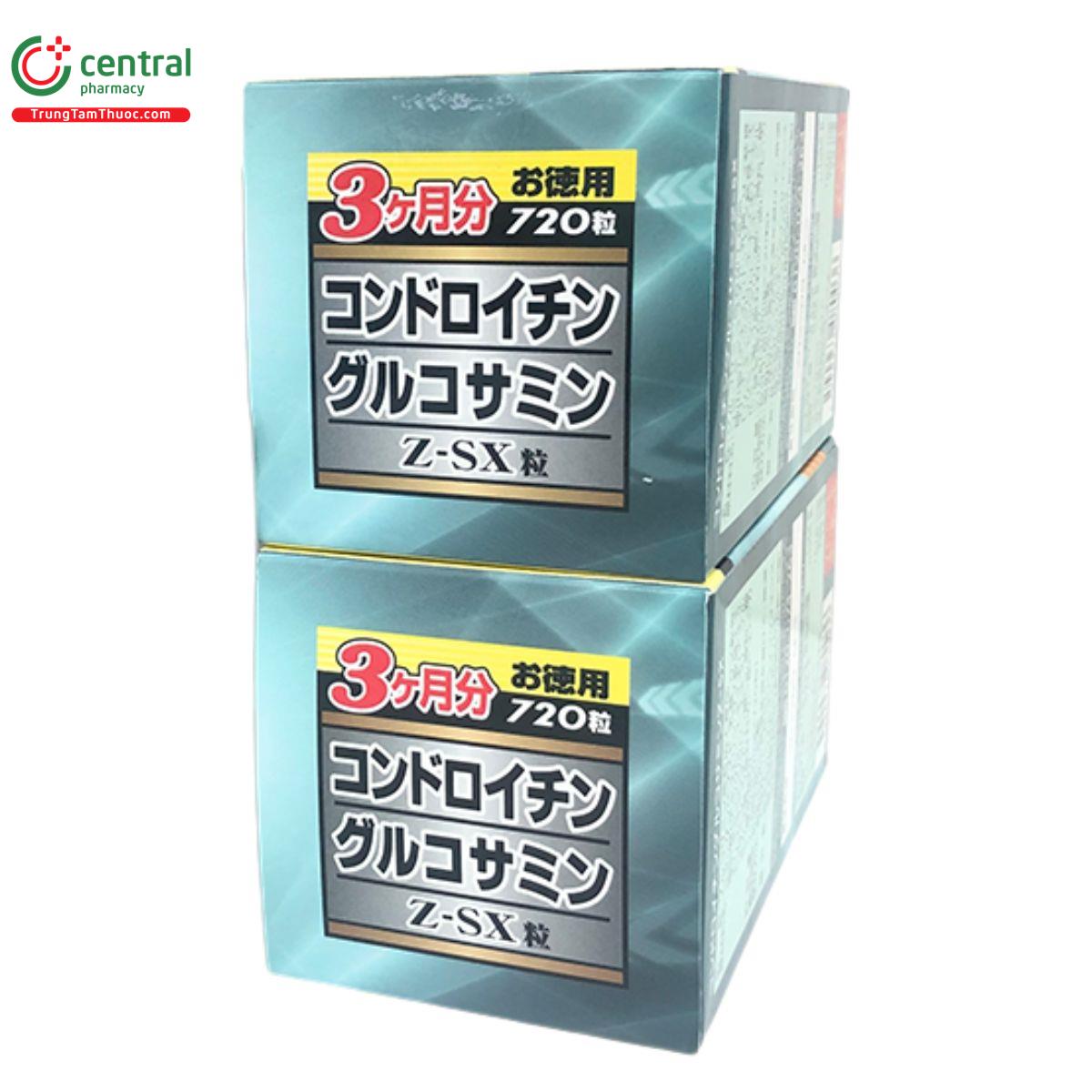 chondroitin glucosamine z sx 10 V8760