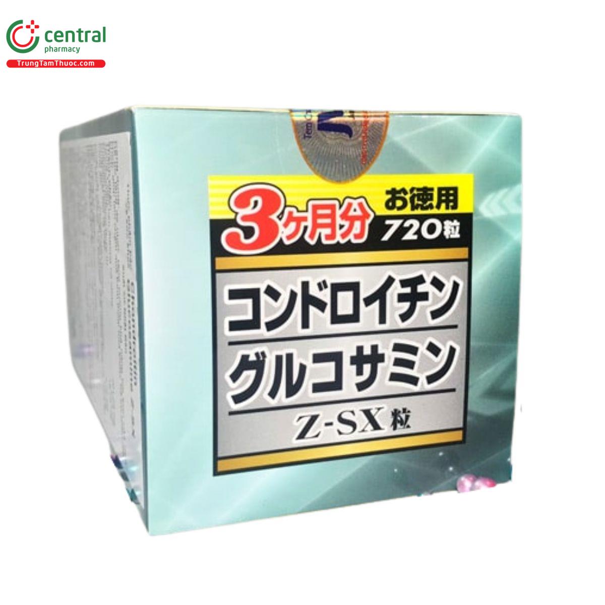 chondroitin glucosamine z sx 9 G2416