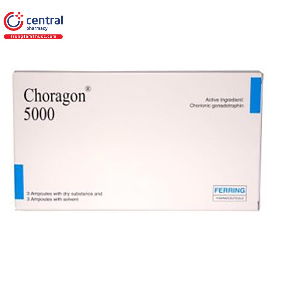 choragon 5000 3 J3614