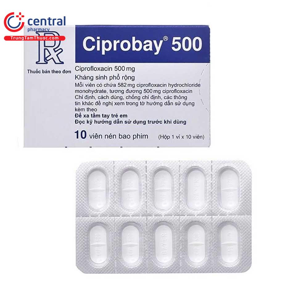 ciprobay5003 G2731