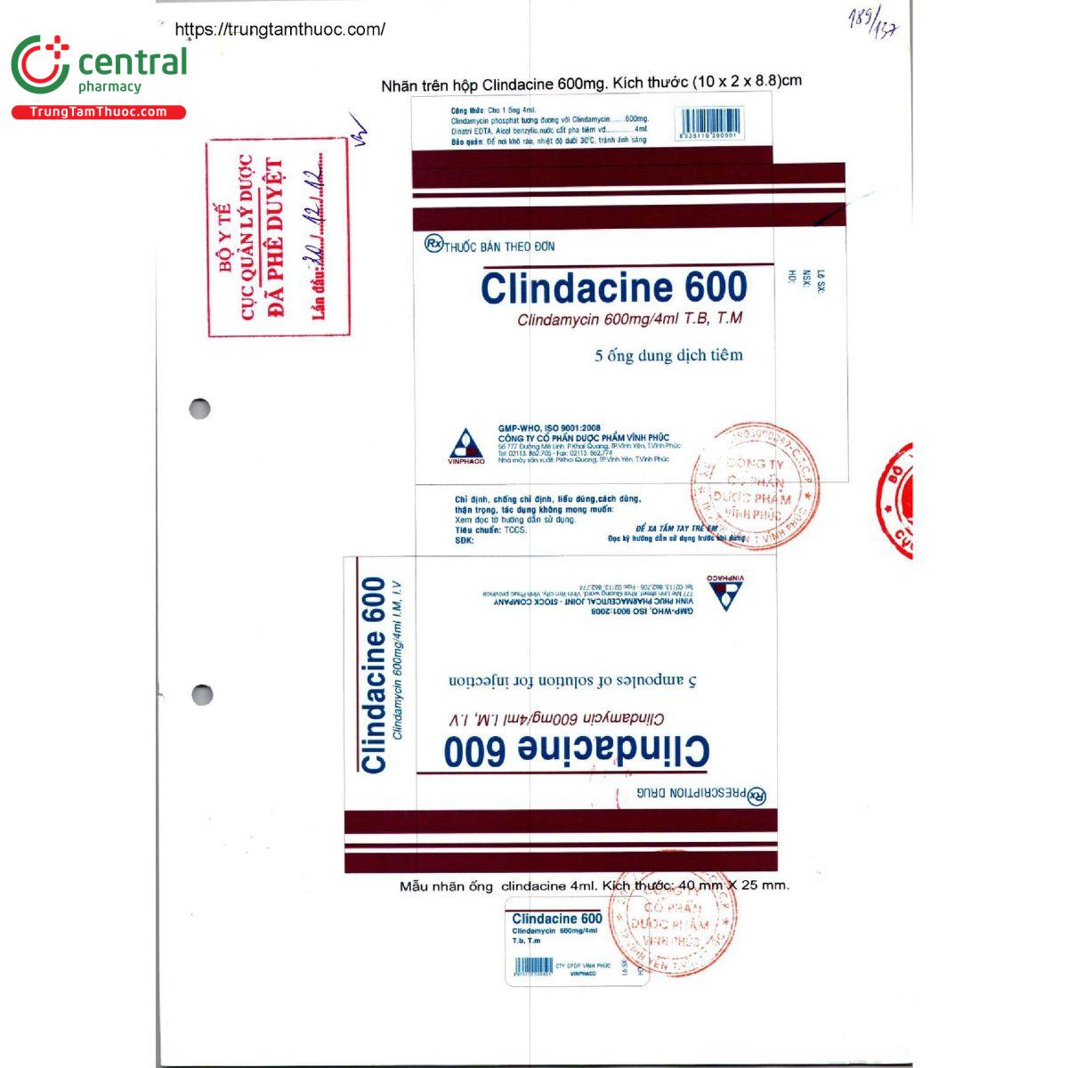 clindacine 600 3 N5570 clindacine 600 3 N5570