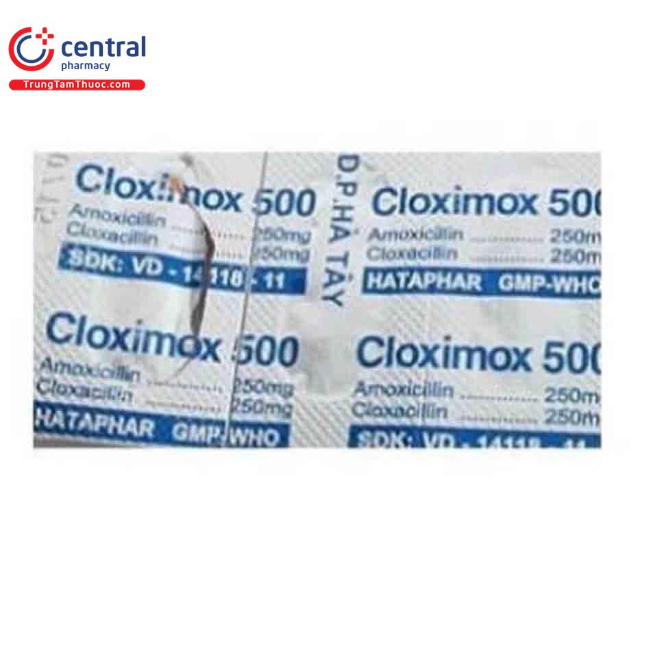 cloximox 500 1 M5482