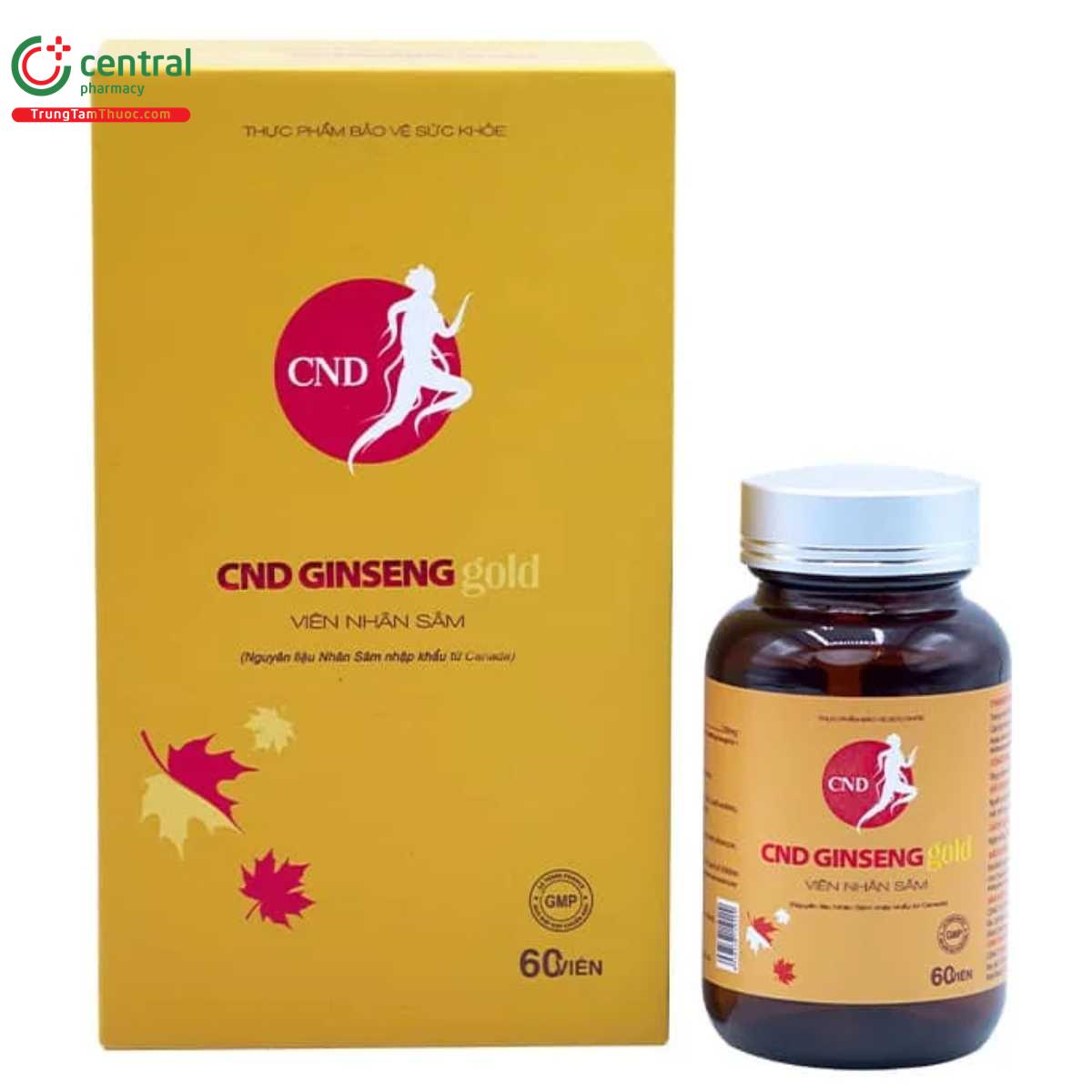 cnd ginseng gold vien nhan sam 1 V8055