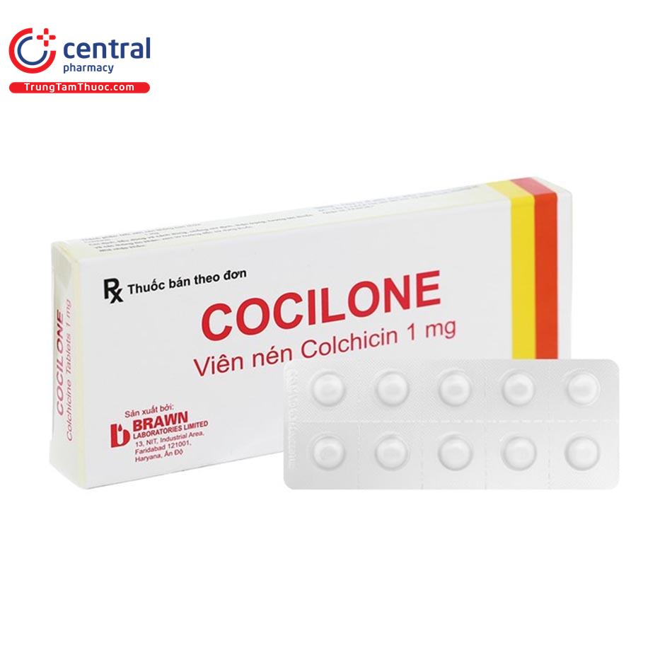 cocilone 17 Q6137
