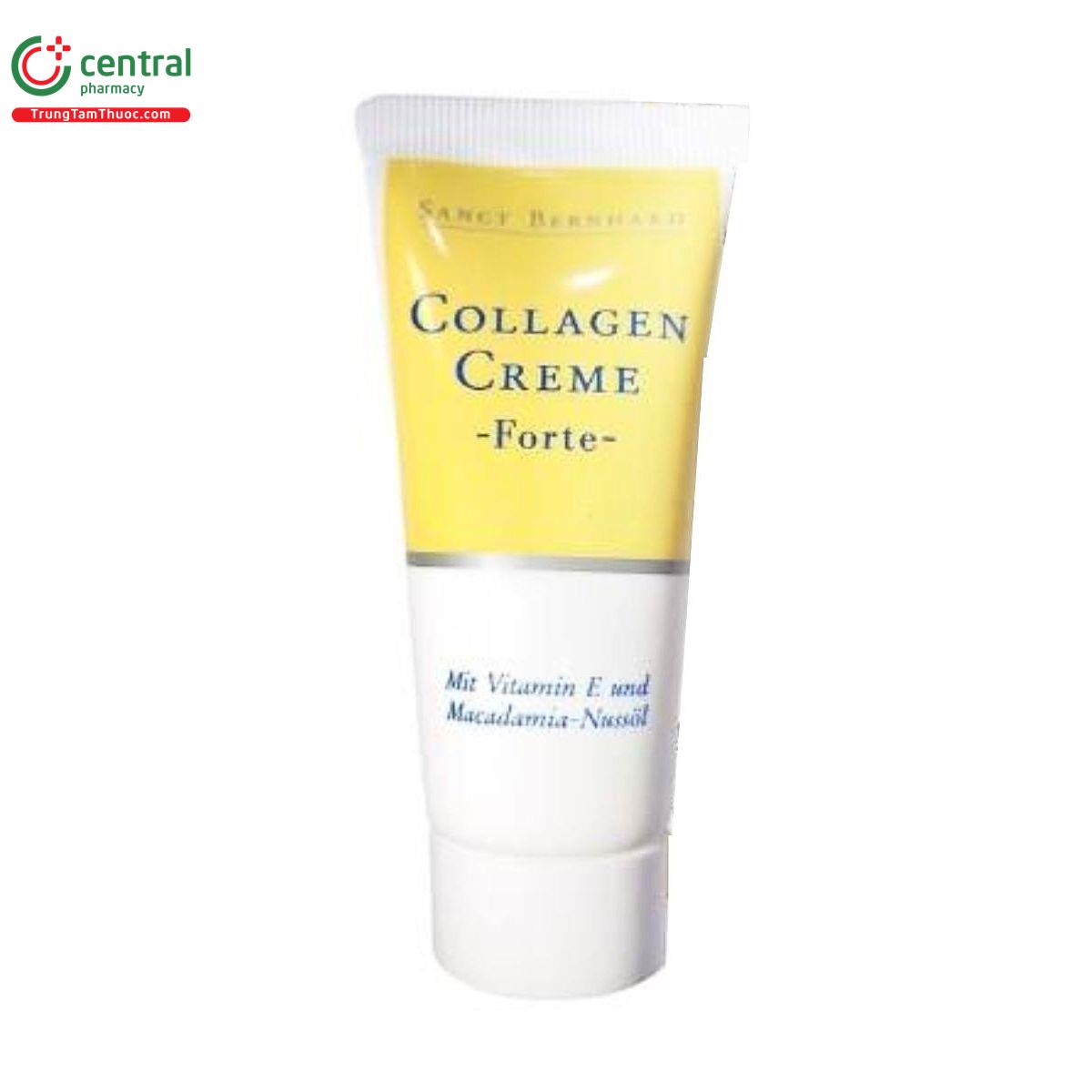 collagen creme forte sanct bernhard 5 P6781 collagen creme forte sanct bernhard 5 P6781