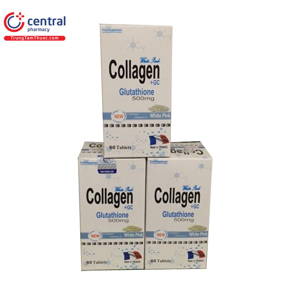 collagen gc 4 V8770