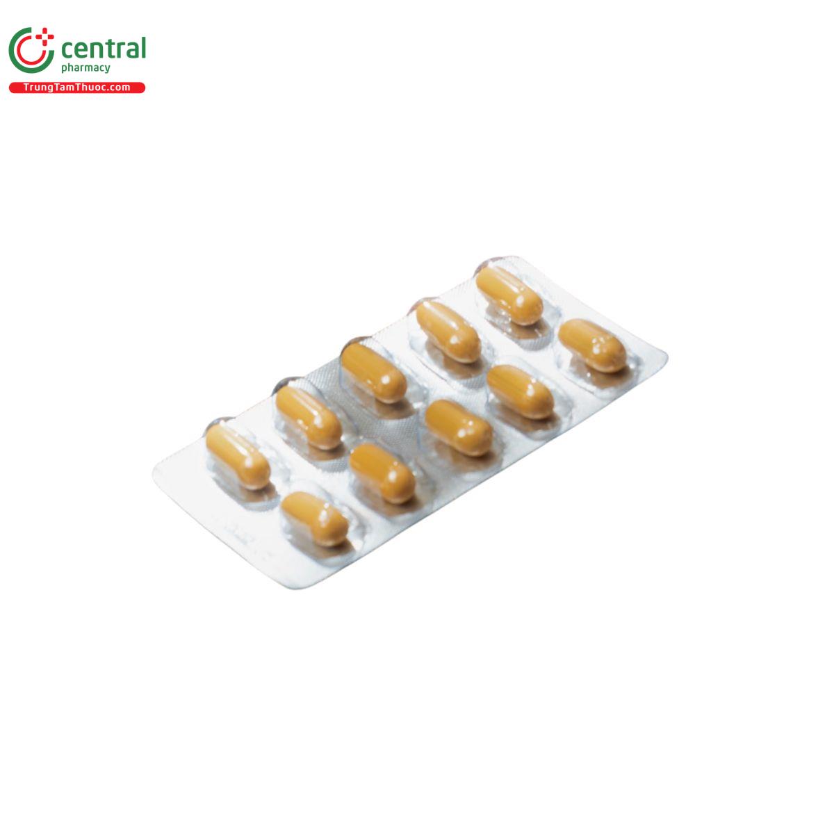 cot manh vuong 5 C0241