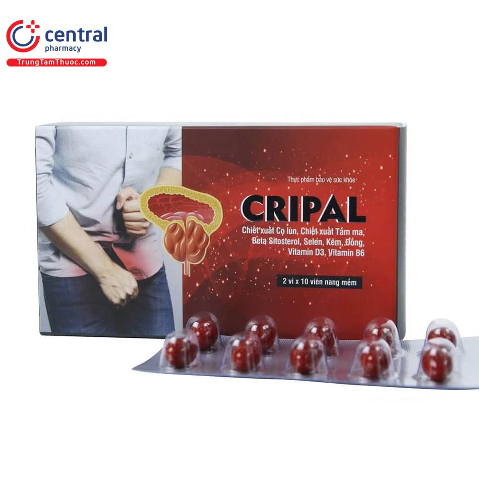 cripal 1 B0506