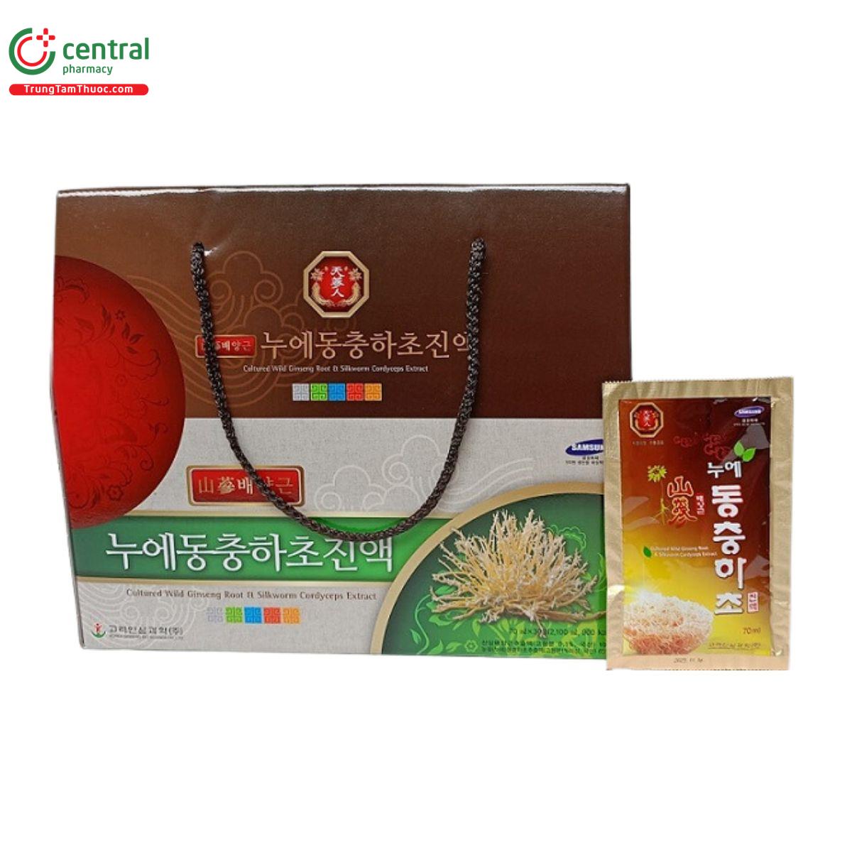 culture wild ginseng root silkworm cordyceps extract 4 M5310