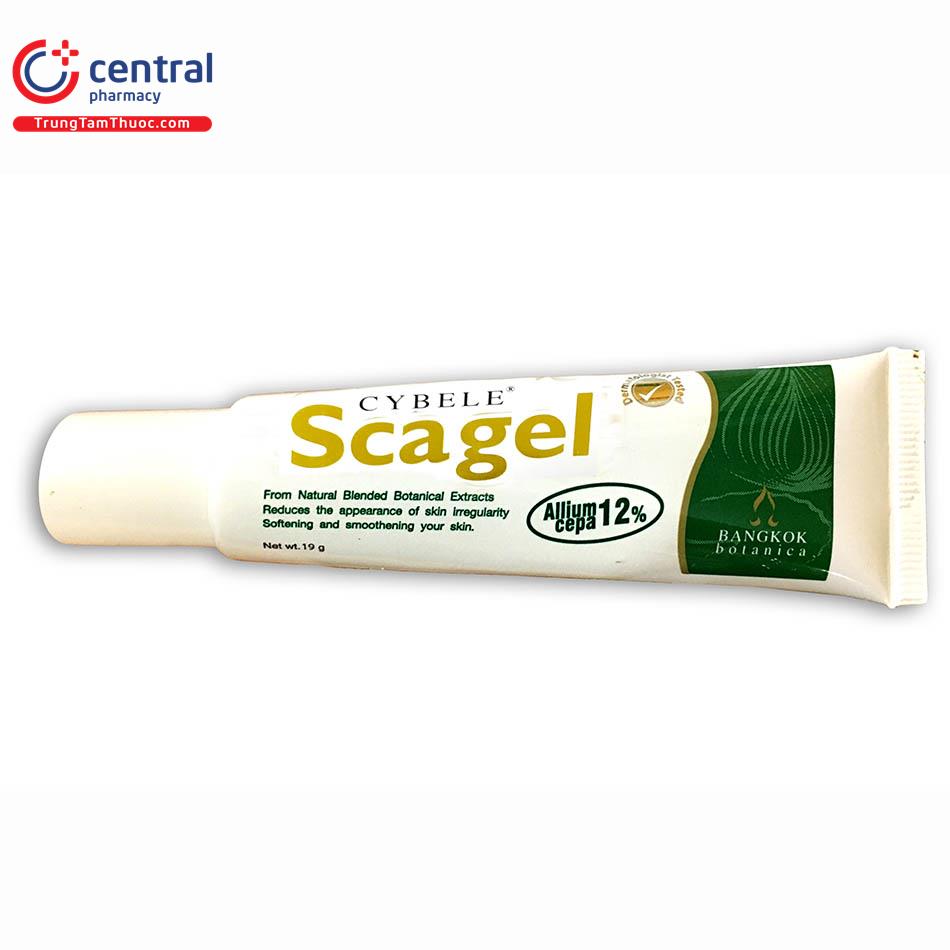 cybele scagel 19g ttt3 U8512