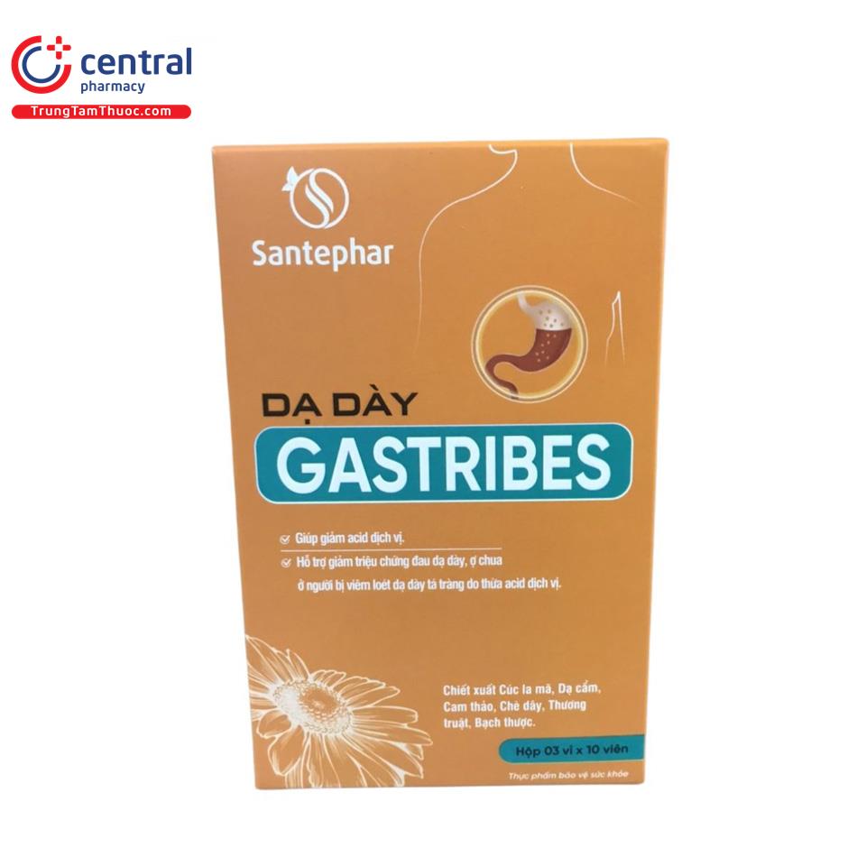 da day gastribes 1 V8524